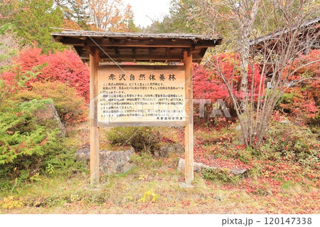 赤沢自然休養林 「お食事処 せせらぎの里赤沢」 赤沢自然休養林 「お食事処 せせらぎの里赤沢」 120147338