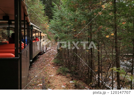 トロッコ走行中、赤沢森林 120147707