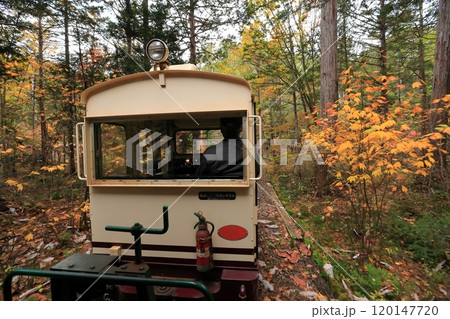 トロッコ走行中、赤沢森林 トロッコ走行中、赤沢森林 120147720