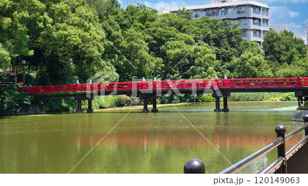 大阪五低山の一つ茶臼山 120149063