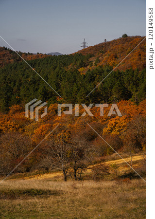 Vibrant autumn landscape with colorful trees and rolling hills in a serene natural setting Vibrant autumn landscape with colorful trees and rolling hills in a serene natural setting 120149588