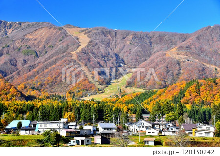 白馬五竜スキー場方面を望む(長野県白馬村)【2024.11】 白馬五竜スキー場方面を望む(長野県白馬村)【2024.11】 120150242