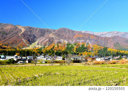 白馬五竜スキー場方面を望む(長野県白馬村)【2024.11】 120150503