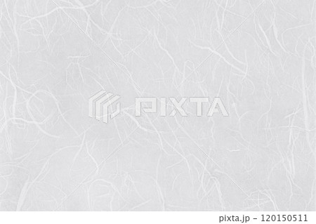 和紙（雲龍紙）　白2 120150511