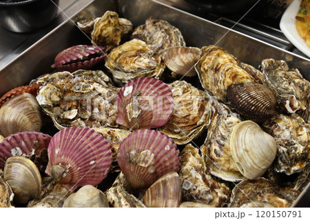 Korean Seafood Food. Steamed oysters and clams Korean Seafood Food. Steamed oysters and clams 120150791