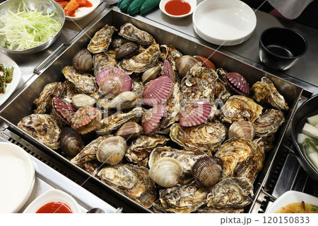 Korean Seafood Food. Steamed oysters and clams Korean Seafood Food. Steamed oysters and clams 120150833