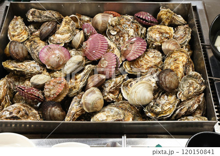 Korean Seafood Food. Steamed oysters and clams Korean Seafood Food. Steamed oysters and clams 120150841