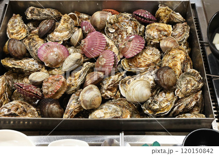 Korean Seafood Food. Steamed oysters and clams Korean Seafood Food. Steamed oysters and clams 120150842