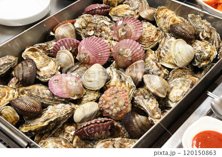 Korean Seafood Food. Steamed oysters and clams Korean Seafood Food. Steamed oysters and clams 120150863