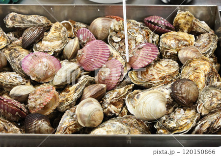 Korean Seafood Food. Steamed oysters and clams 120150866