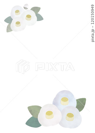 シンプルな白い椿の喪中はがき 120150949