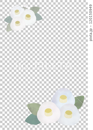 シンプルな白い椿の喪中はがき 120150949