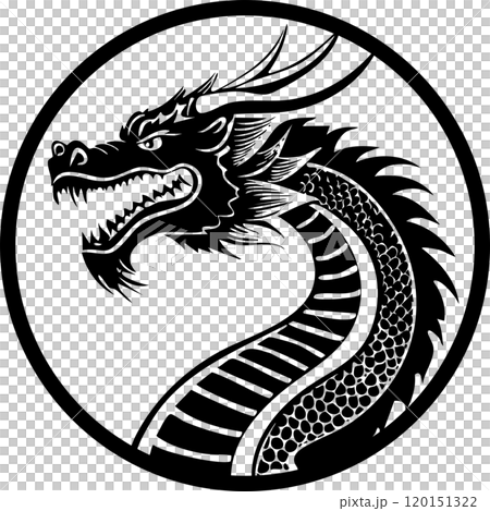 酷龍頭像左看_01_Ai生成圖片 120151322