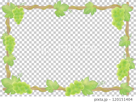 馬斯喀特車架 120151404