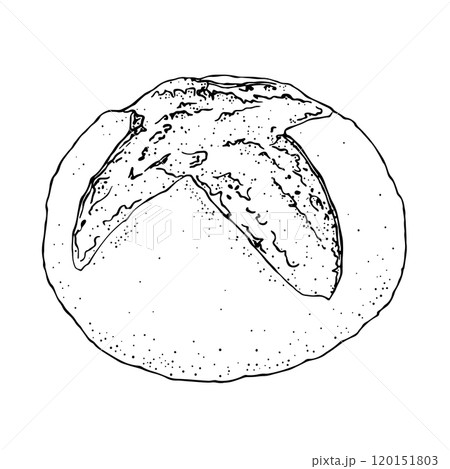 Vector illustration. Traditional homemade whole grain bread, fresh and crispy for menus, labels, packaging, kitchen textiles, baking shop. Vector illustration. Traditional homemade whole grain bread, fresh and crispy for menus, labels, packaging, kitchen textiles, baking shop. 120151803