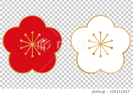 Plum blossoms red and white illustration Plum blossoms red and white illustration 120151837