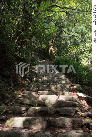 福岡県太宰府市にある宝満宮竈門神社の奥院のある宝満山の正面登山道の石段 福岡県太宰府市にある宝満宮竈門神社の奥院のある宝満山の正面登山道の石段 120151855