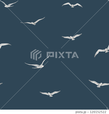 Bird seamless watercolor Pattern. Backdrop with flying seagulls and doves on dark background for textile design or web banner. Ornament for wrapping paper or bed linen. Hand drawn backdrop. 120152522