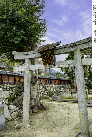 坂本　大将軍神社　鳥居　滋賀県大津市 120152784