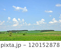 Peacefull Ukrainian rural landscape with green fields 120152878