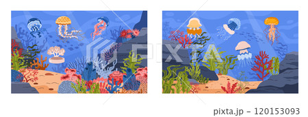 Colorful jellyfish and coral vector illustration set 120153093