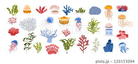 A set of vector icons of various types of corals, algae and jellyfish 120153094