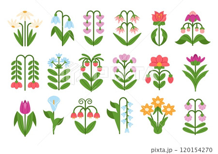 Abstract flowers. Symmetrical floral doodles, spring snowdrop, daisies, tulips and bluebells plants with flower and leaves. Botanical decorations vector illustrations set 120154270