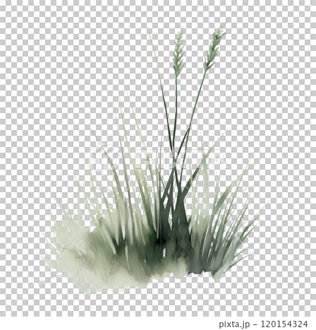 Watercolor illustration of grass blades on a transparent background. Perfect for natural design projects, eco-themed artwork, botanical illustrations, and minimalist nature-inspired compositions. 120154324