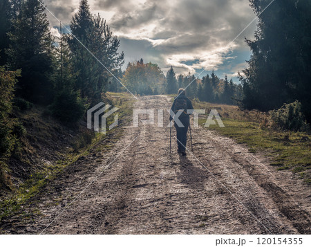 Solitary Hiker Walking Through Scenic Forest Trail in Autumn Solitary Hiker Walking Through Scenic Forest Trail in Autumn 120154355