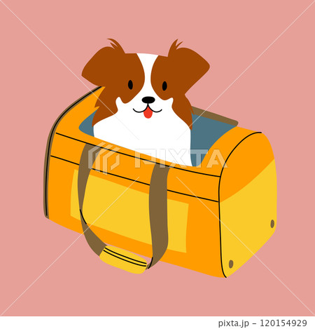 The dog is sitting in the bag. Traveling with a pet. The dog is sitting in the bag. Traveling with a pet. 120154929