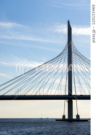 Bridge across Petrovsky fairway, road cable-stayed bridge silhouette 120155469