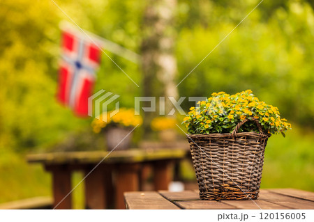 norwegian flag and green picnic site norwegian flag and green picnic site 120156005