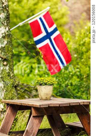 norwegian flag and green picnic site norwegian flag and green picnic site 120156008