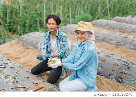 A Group of Young Farmers Collaborating Effectively in a Lush and Fertile Field A Group of Young Farmers Collaborating Effectively in a Lush and Fertile Field 120156270