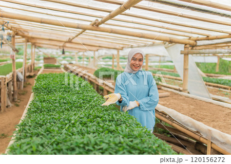A Smiling Woman in a Greenhouse Actively Cultivating Fresh and Healthy Herbs 120156272