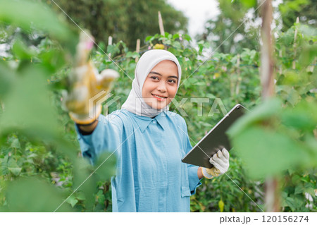 A Smiling Woman Wearing a Hijab is Joyfully Interacting with Plants in a Lush Green Garden 120156274
