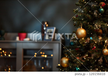 Interior detail of Christmas tree decorated with twinkling lights and gold baulbs in dim home setting copy space 120156810