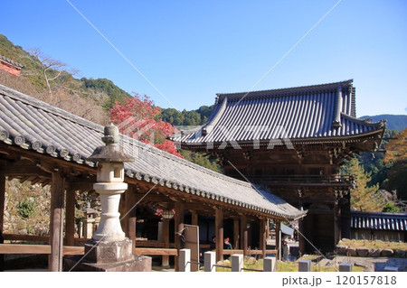 奈良県の紅葉の寺　長谷寺 120157818