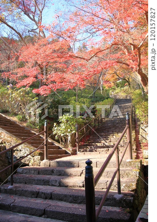 奈良県の紅葉の寺 長谷寺 奈良県の紅葉の寺 長谷寺 120157827