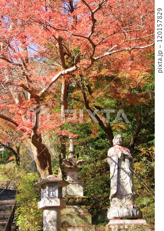 奈良県の紅葉の寺 長谷寺 奈良県の紅葉の寺 長谷寺 120157829