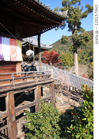 奈良県の紅葉の寺 長谷寺 奈良県の紅葉の寺 長谷寺 120157843