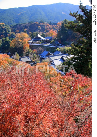 奈良県の紅葉の寺　長谷寺 120157844