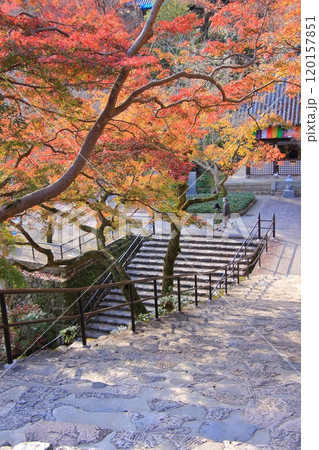 奈良県の紅葉の寺　長谷寺 120157851