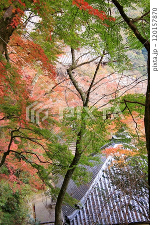 奈良県の紅葉の寺 長谷寺 奈良県の紅葉の寺 長谷寺 120157870