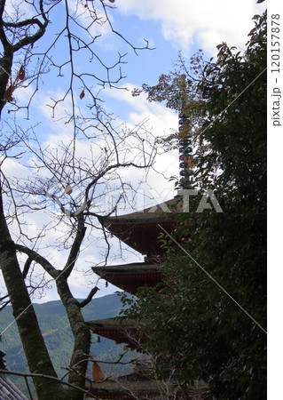 奈良県の紅葉の寺 長谷寺 奈良県の紅葉の寺 長谷寺 120157878