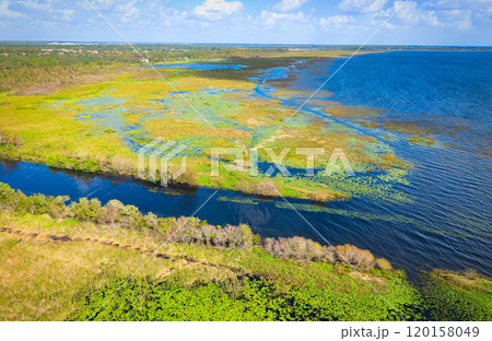 Lush Wetland Scenery of Florida with Patches of Water and Greenery 120158049
