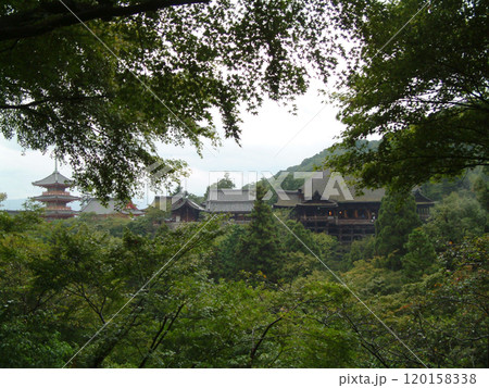 Kiyomizudera in autumn rain / 初秋，秋雨の中の清水の舞台(全景眺望) 120158338