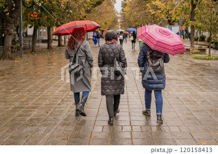 Back view of hurrying women under umbrellas, back view, rainy evening, autumn weather 120158413