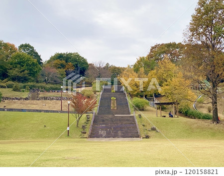 紅葉した荻野運動公園 120158821