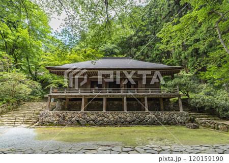 女人高野室生寺 金堂 奈良県宇陀市室生 女人高野室生寺 金堂 奈良県宇陀市室生 120159190